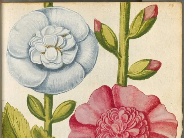 Doodling boosts cognitive functions, particularly memory retention.