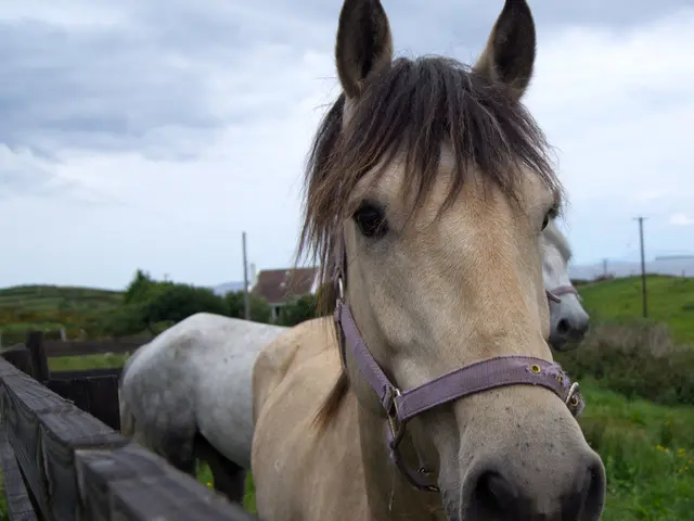 When a Barn Shuts Down, Extend Compassion to the Property Owner