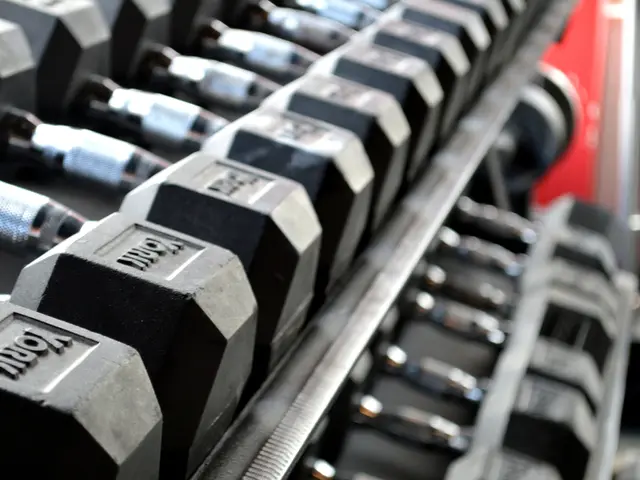 Which Hex or Adjustable Dumbbells Should You Buy This Cyber Monday?