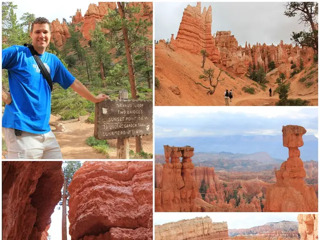 Crowds of over 17,000 individuals in the Memorial Capital!