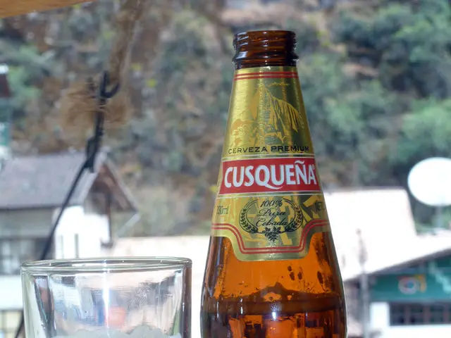 Busy Season for Grape Picker Employees in the Elbe Hills Wine Region