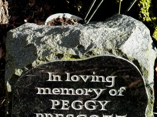 Secrets About How Far Down to Dig for Robust Basil Plant Growth