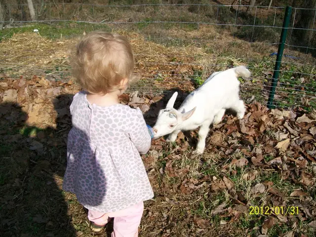 European legislators have passed a resolution designating the forthcoming year as the European Year...