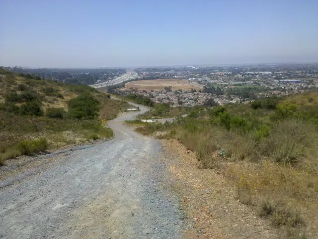 In the picture I can see a way and there is greenery ground on either sides of it and there are few...