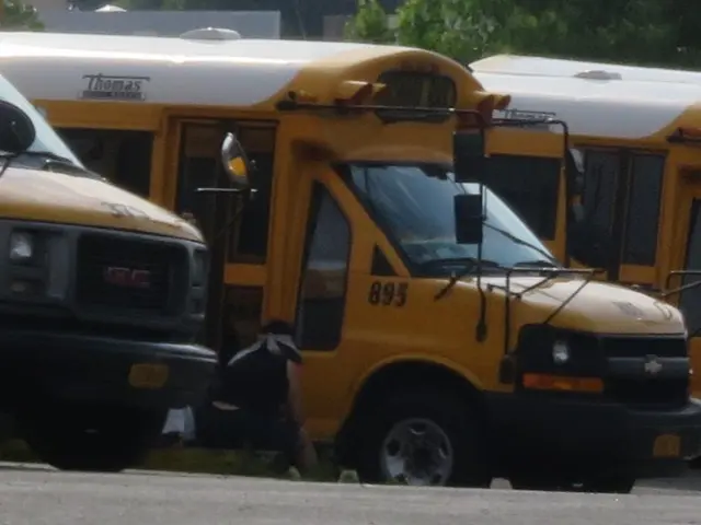 There are yellow color vehicles at the left. Behind that there are trees.