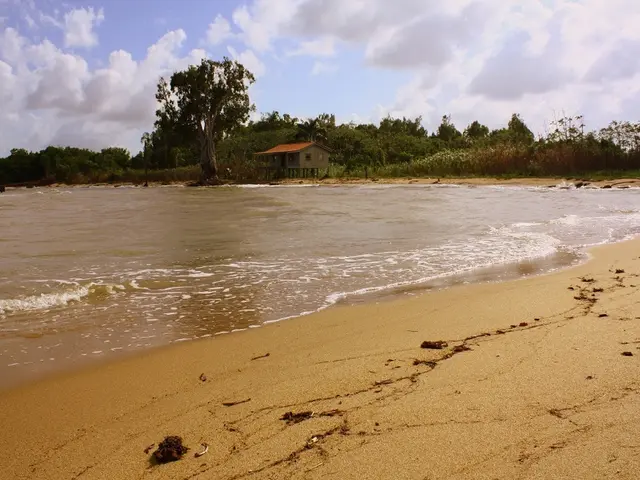 In the image there is a sand surface, behind the sand surface there is a beach and in the...