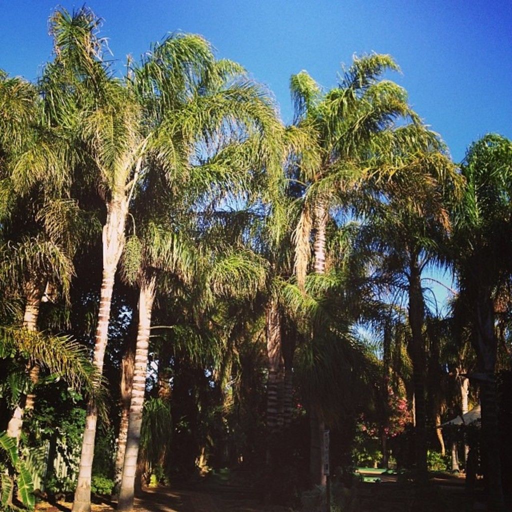 Individual in casual attire, characterized by a blue hoodie concealing their head and baggy jeans, nonchalantly positioned, in a laid-back environment.